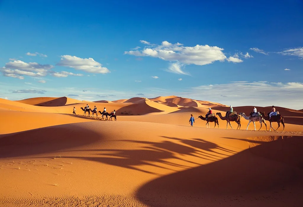 desert Merzouga