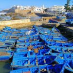 dayy trip to essaouira