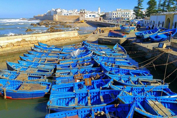 dayy trip to essaouira